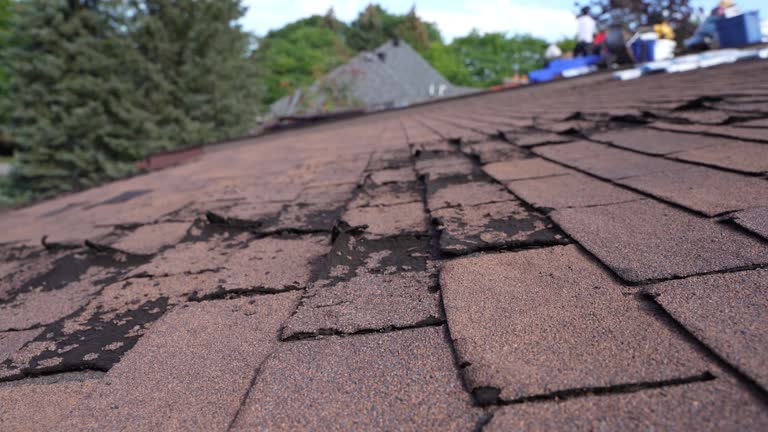 Best Hot Roofs  in Aumsville, OR